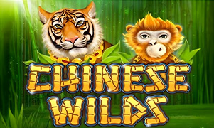vn123win Chinese Wilds